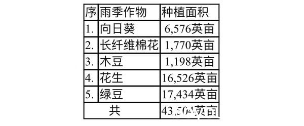 马奎省敏巫县区雨季作物茁壮成长丰收在望