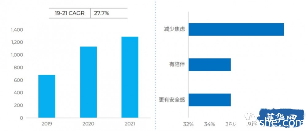 什么宠物产品在菲律宾比较好卖？市场前景怎么样？