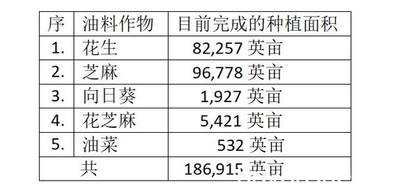 实皆省甘布鲁县区今年冬季油料作物种植情况